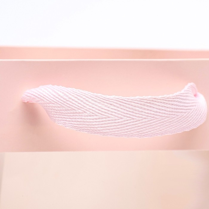 Пакет подарочный, с окном, 25 х 18 х 13 см, розовый, 1шт. Пакет подарочный, с окном, 25 х 18 х 13 см, розовый, 1шт.