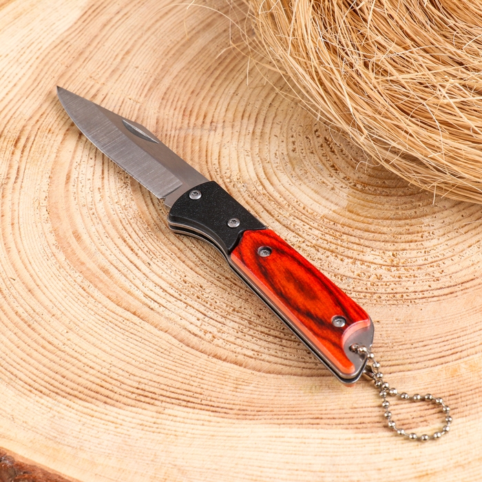 Нож складной Нож складной "Охотник" 15,8см, клинок 72мм/1,8мм, с цепочкой