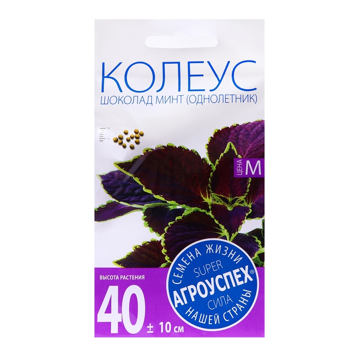 Семена цветов Колеус  Семена цветов Колеус "Шоколад Минт", 4 шт