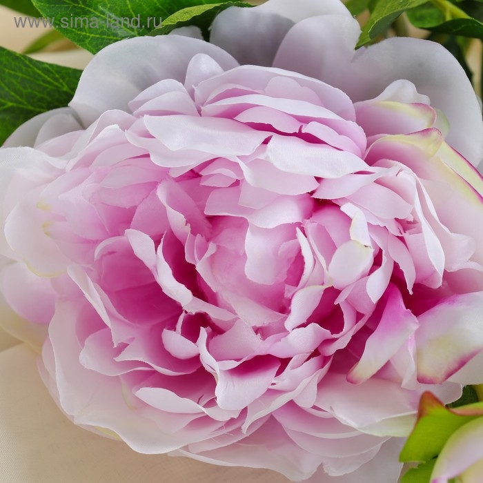 Цветы искусственные Цветы искусственные "Пион дуо" 12х60 см, сиреневый