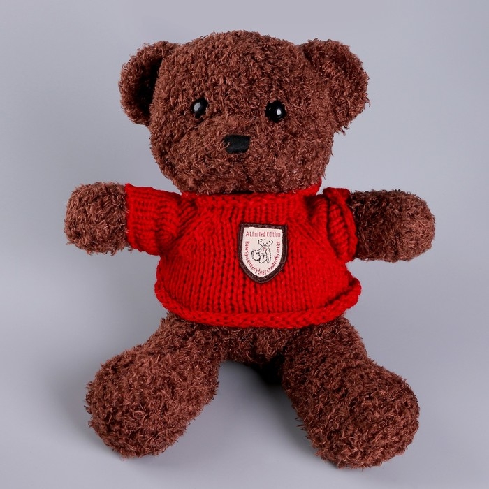 Мягкая игрушка «Медведь» в кофте, 28 см, цвет МИКС