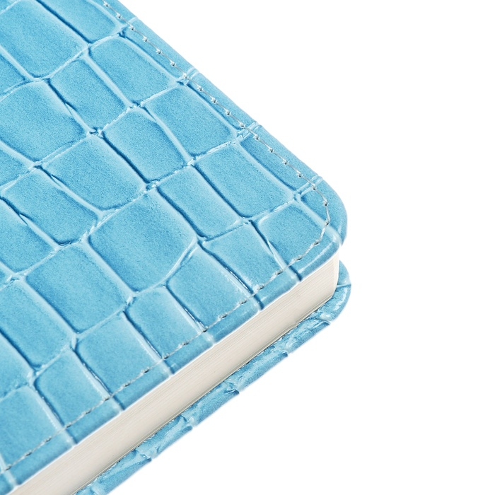 Ежедневник датированный 2025 года A5, 168 листов, deVENTE. Barbara, твердая обложка кожзам с поролоном, перфорацией, ляссе, блок 70, голубой Ежедневник датированный 2025 года A5, 168 листов, deVENTE. Barbara, твердая обложка кожзам с поролоном, перфорацией, ляссе, блок 70, голубой