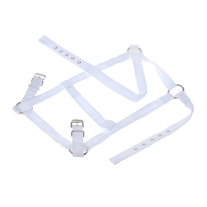 Недоуздок из нейлона, регулируемый размер, белый Недоуздок из нейлона, регулируемый размер, белый