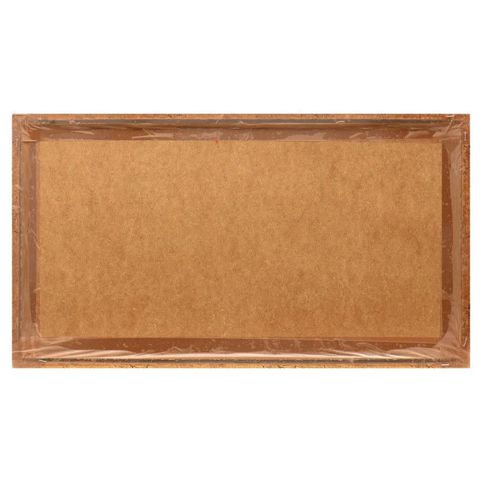 Гобеленовая картина Гобеленовая картина "Дух свободы" 45*83 см рамка микс