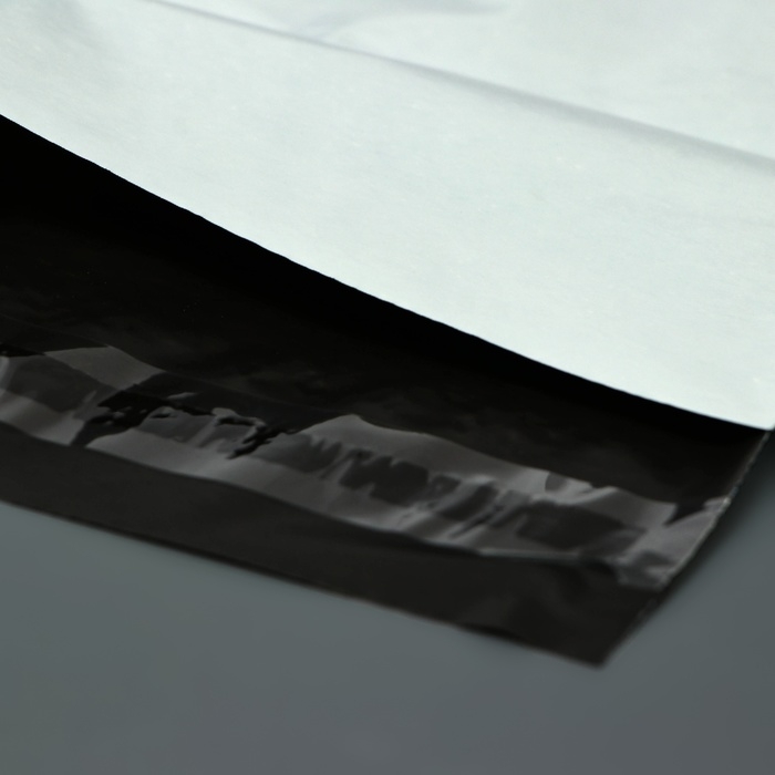 Курьерский пакет с клеевым клапаном 200 х 340 мм, набор 50 шт Курьерский пакет с клеевым клапаном 200 х 340 мм, набор 50 шт