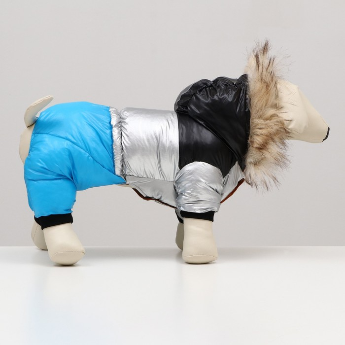 Комбинезон Комбинезон "Пушок", размер 16 (ДС 36 см, ОГ 46 см, ОШ 35 см), голубой