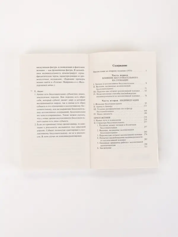 Книга &laquo;Отношения между эго и бессознательным&raquo;, Карл Густав Юнг