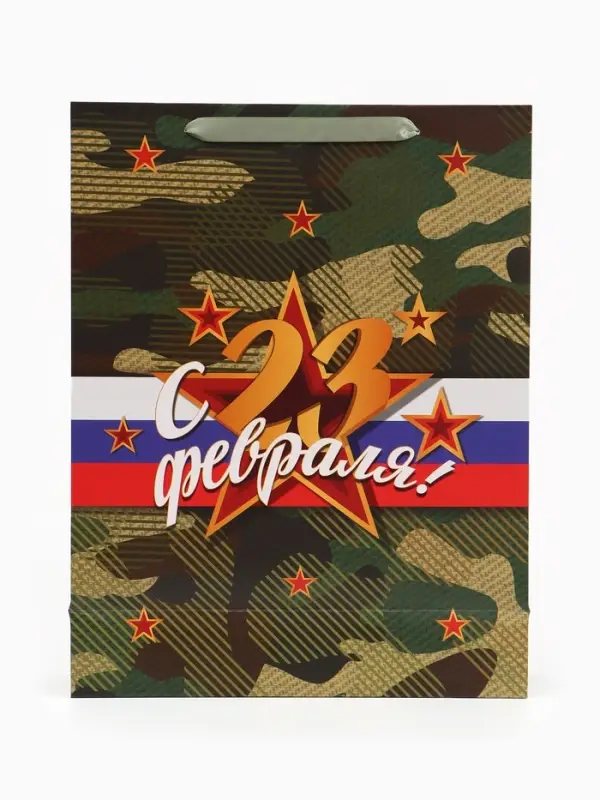 Пакет ламинированный &laquo;С 23 февраля!&raquo;, 31&times;40&times;11.5 см