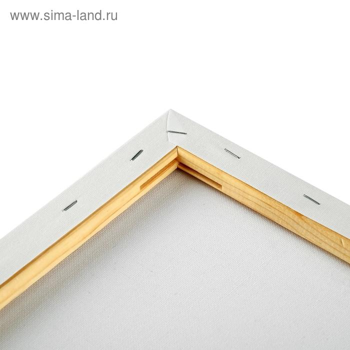 Холст на подрамнике, хлопок 100%, 40 х 50 х 1.8 см, акриловый грунт, мелкозернистый, 280 г/м² Холст на подрамнике, хлопок 100%, 40 х 50 х 1.8 см, акриловый грунт, мелкозернистый, 280 г/м²