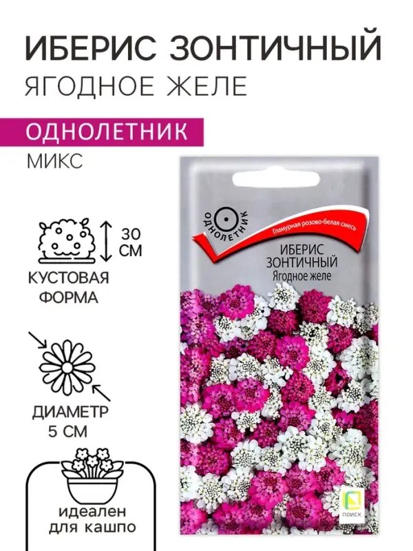 Семена цветов Иберис зонтичный Ягодное желе, 0,1гр