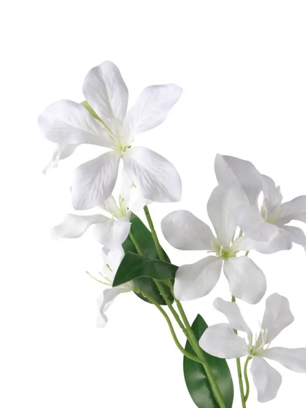 Цветы искусственные "Баухиния пёстрая" d-13 см 71 см, белый