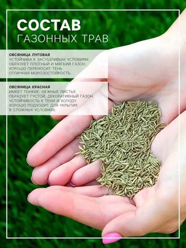 Газонная травосмесь &laquo;Северная&raquo;, 20 кг