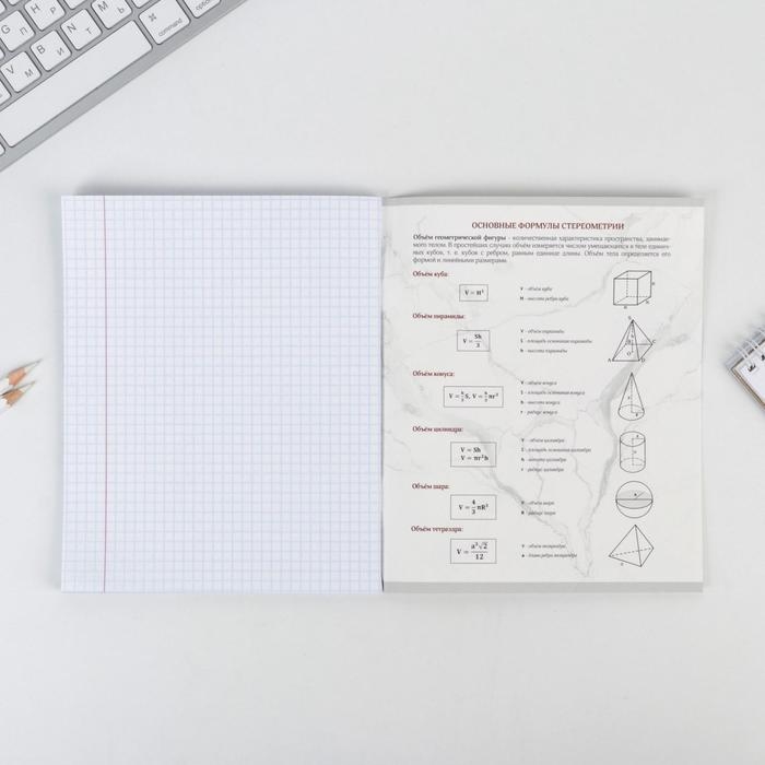 Тетрадь предметная 48 листов, А5, МРАМОР, со справ. мат. «1 сентября: Геометрия», обложка мелованный картон 230 гр внутренний блок в клетку белизна 96% Тетрадь предметная 48 листов, А5, МРАМОР, со справ. мат. «1 сентября: Геометрия», обложка мелованный картон 230 гр внутренний блок в клетку белизна 96%