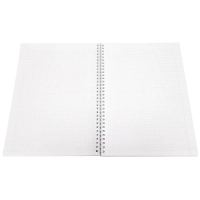 Бизнес-тетрадь&nbsp;А496л.клетка,спираль Be Smart,View N3406