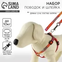 Поводок «Дикий и пушистый» 120×1 см, шлейка 24-36 см