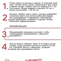 Семена Базилик &laquo;Крупнолистный&raquo;, 0.2 г, &laquo;Рецепты дедушки Никиты&raquo;