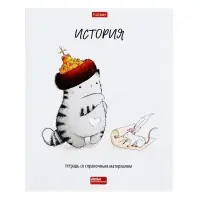 Тетрадь 48 листов в клетку &laquo;Приключения кота Пирожка&raquo; ИСТОРИЯ, обложка мелованная бумага, с интерактивным справочником, блок офсет