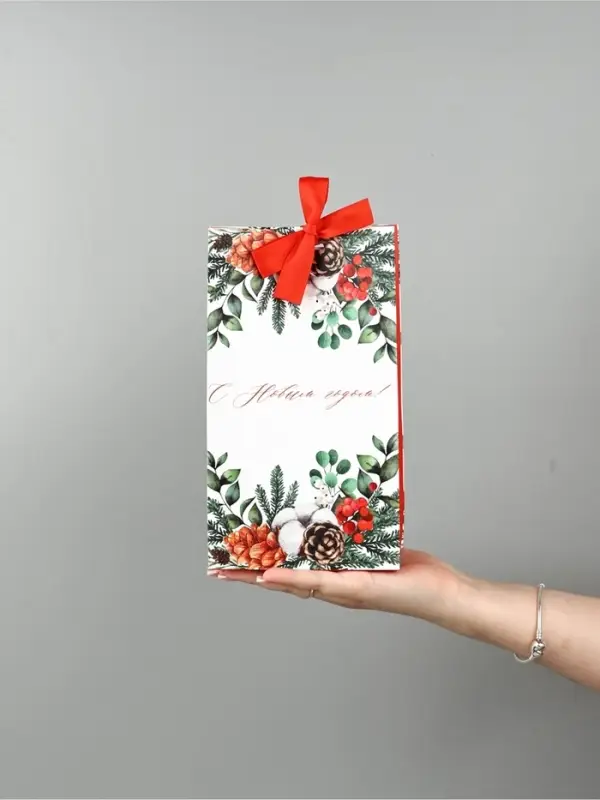 Набор новогодних пакетов &laquo;Новогодняя пора&raquo;