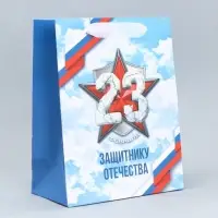 Пакет подарочный ламинированный, упаковка, &laquo;С 23 февраля&raquo;, MS 18&times;23&times;10 см