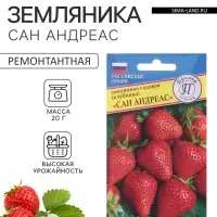 Семена Земляника ремонтантная &laquo;Сан Андреас&raquo;, 0.01 г, &laquo;Престиж семена&raquo;