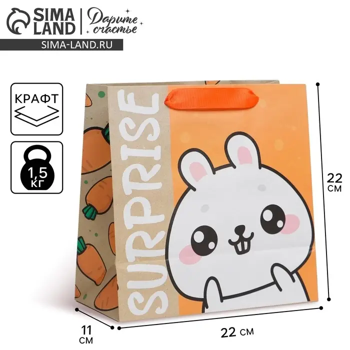 Пакет подарочный крафтовый квадратный, упаковка, «Suprise», 22 х 22 х 11 см Пакет подарочный крафтовый квадратный, упаковка, «Suprise», 22 х 22 х 11 см