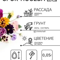 Семена цветов Виола &laquo;Эксклюзивная смесь&raquo;, 0.05 г, &laquo;Агроуспех&raquo;