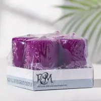 Набор свечей-цилиндров "Интерьерный", 4 шт, 6х4 см, 10 ч, фиолетовый