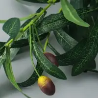 Цветы искусственные «Олива галант», h=85 см, зелёные Цветы искусственные «Олива галант», h=85 см, зелёные