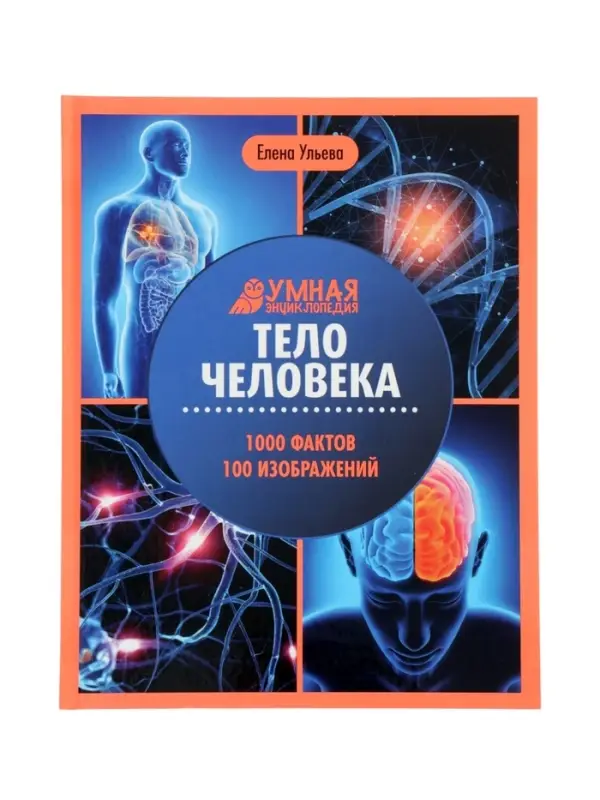 Эциклопедия "Тело человека", Ульева Е.А.