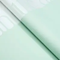 Пленка флористическая, «Любовь в воздухе» 65 мкм, светлая фисташка 58×58 см