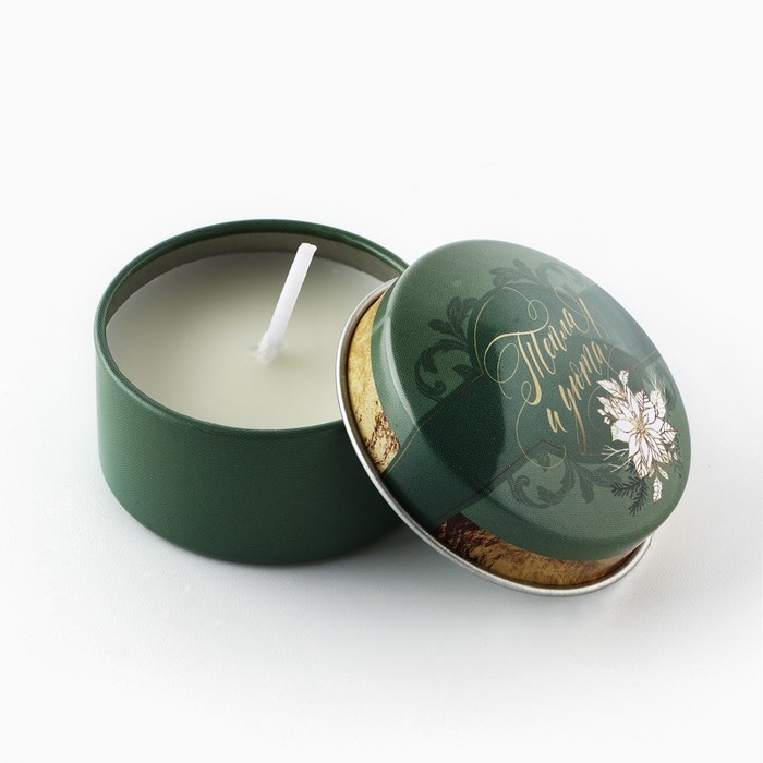 Свеча новогодняя в железной банке «Новый год: Тепла и уюта«Новый год: аромат мята, 4.8 см Свеча новогодняя в железной банке «Новый год: Тепла и уюта«Новый год: аромат мята, 4.8 см