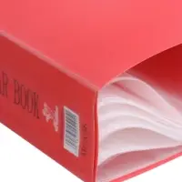 Папка А4, 100 прозрачных файлов, 400 мкм, МИКС