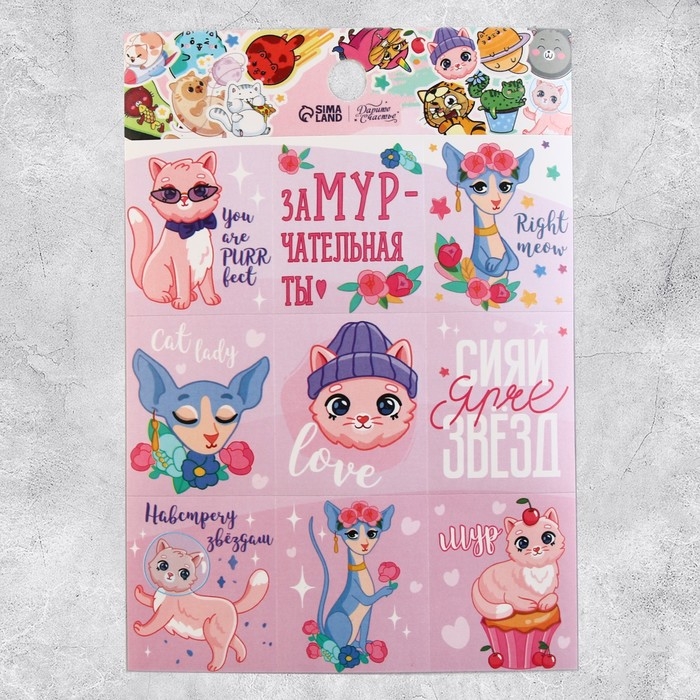 Наклейки детские бумажные, «Замурчательные истории», 11 х 15.5 см, 5 листов Наклейки детские бумажные, «Замурчательные истории», 11 х 15.5 см, 5 листов