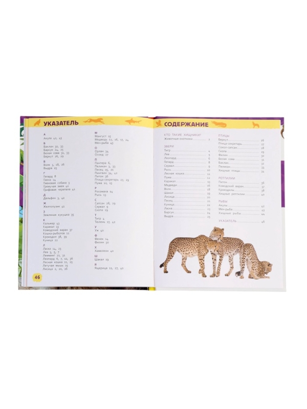 Детская энциклопедия Детская энциклопедия "Дикие животные"