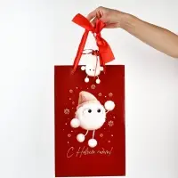 Пакет подарочный «Новогодний сюрприз», с заколками, 25,5 × 9 × 30 см Пакет подарочный «Новогодний сюрприз», с заколками, 25,5 × 9 × 30 см