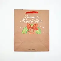 Набор новогодних пакетов &laquo;Новогодний&raquo;, 5 шт., 23&times;27&times;11.5 см