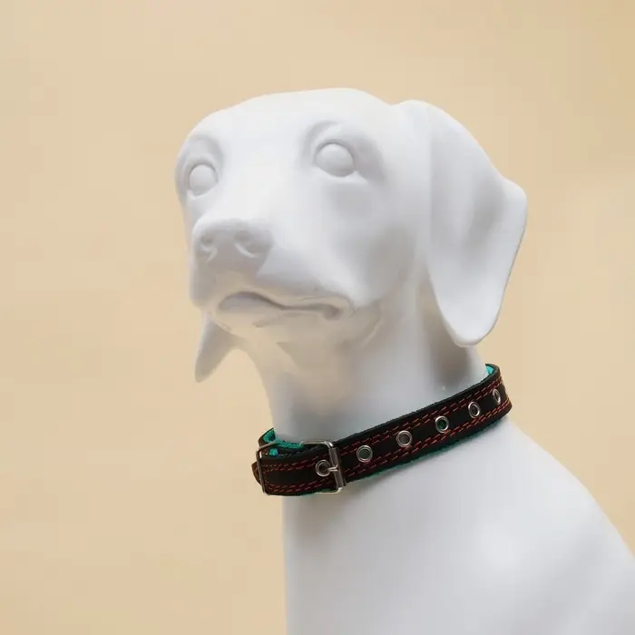 Ошейник кожаный усиленный капроном с полукольцом, 55&times;2.5 см, ОШ 27-53 см, чёрный