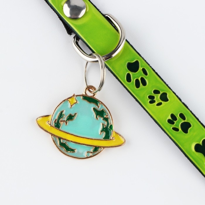 Ошейник светоотражающий «Лапки» с подвесом, 30 х 1 см, цвет зелёный Ошейник светоотражающий «Лапки» с подвесом, 30 х 1 см, цвет зелёный