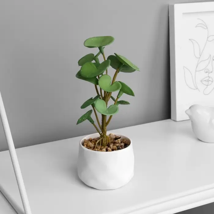 Искусственный цветок в горшке &laquo;Пеперомия люкс&raquo; (мягкий лист), 13&times;6 см, МИКС