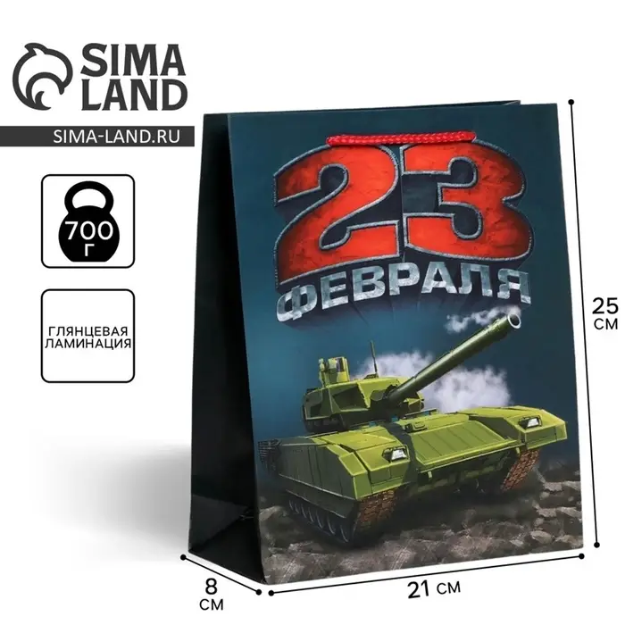 Пакет подарочный ламинированный, упаковка, &laquo;С 23 февраля&raquo;, ML 25&times;21&times;8 см