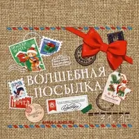 Мешок с термонаклейкой &laquo;Новогодняя посылка&raquo;, 16&times;24 см