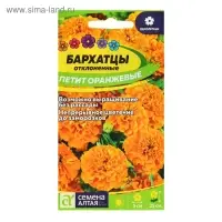 Семена цветов Бархатцы "Петит" Оранжевые, О, ц/п, 0,3 г. Семена цветов Бархатцы "Петит" Оранжевые, О, ц/п, 0,3 г.