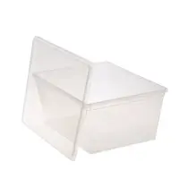 Ящики пластиковые для хранения, с крышкой, набор 2 шт.: 10 л, 16 л, прозрачно-матовый