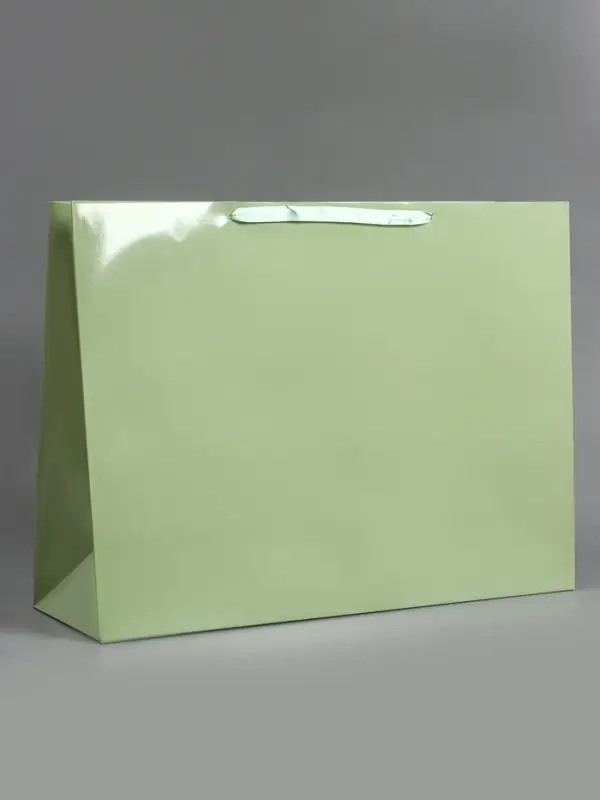 Пакет ламинированный горизонтальный "Хаки", XXL  61 х 46 х 20 см