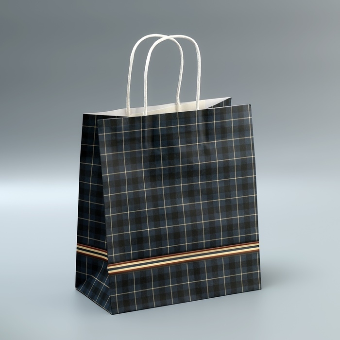 Пакет подарочный крафтовый, упаковка, «Клетка», 22 х 25 х 12 см Пакет подарочный крафтовый, упаковка, «Клетка», 22 х 25 х 12 см