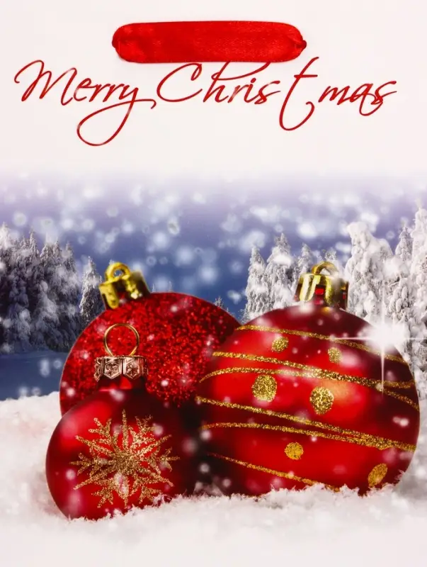 Пакет подарочный ламинированный Пакет подарочный ламинированный "Новогодние игрушки", 18 х 23 х 10 см