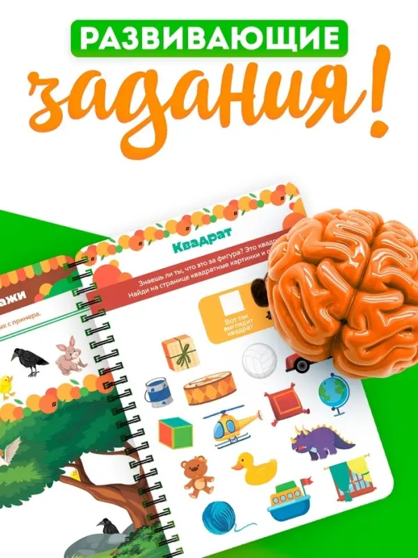 Книга многоразовая &laquo;Развивающая тетрадь&raquo;, 32 стр., 2 маркера, Чебурашка