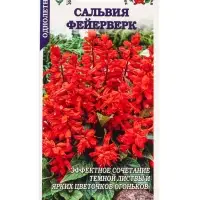 Семена Сальвия Фейерверк /Сотка/ 0,05г/ h-20см/*1500 Семена Сальвия Фейерверк /Сотка/ 0,05г/ h-20см/*1500