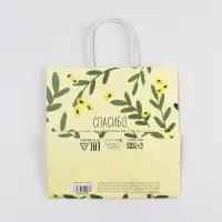 Пакет подарочный, упаковка, &laquo;Котейка&raquo;, 22 х 22 х 11 см