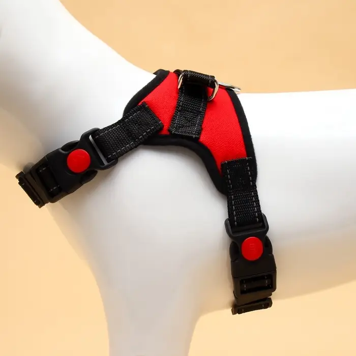 Шлейка К7, размер S, ОГ 44-55 см, вес 5-9 кг, мягкая, светоотражающая, красная